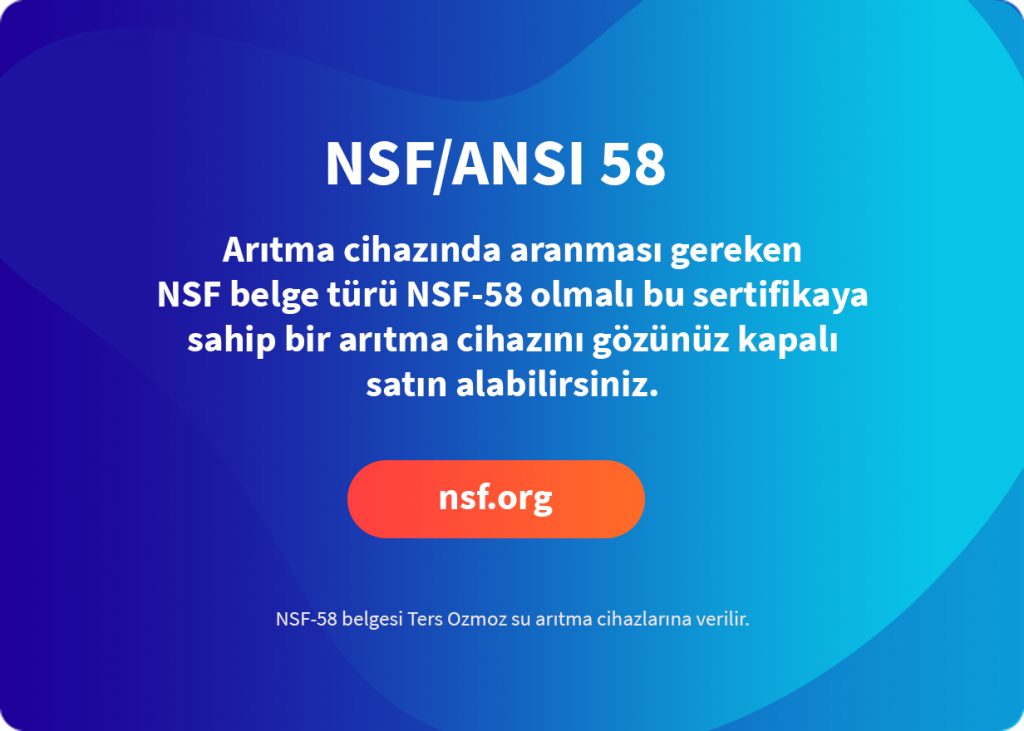 nsf belgesi