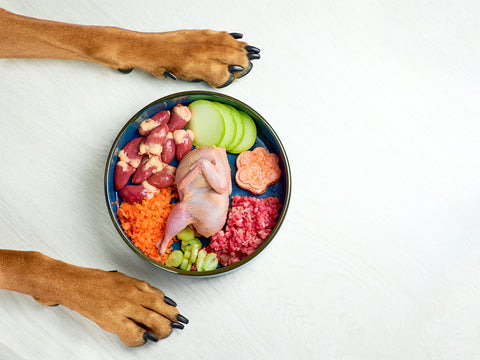 sağlıklı köpek maması